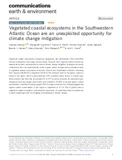 Vegetated coastal ecosystems in the Southwestern Atlantic Ocean are an unexploited opportunity for climate change mitigation