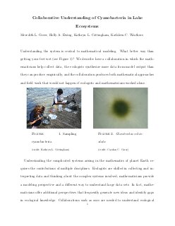 Collaborative Understanding of Cyanobacteria in Lake Ecosystems