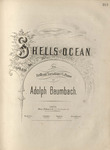 Shells of Ocean by Adolph Baumbach