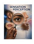 Sensation and Perception V3